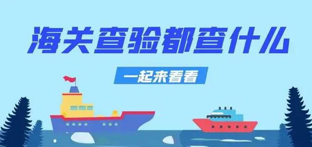 东莞海运公司 东莞海运公司